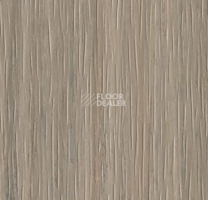 Кварцвиниловые полы Forbo Marmoleum Modular te3573 trace of nature фото 1 | FLOORDEALER